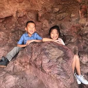 Meet your Posher, Dawn